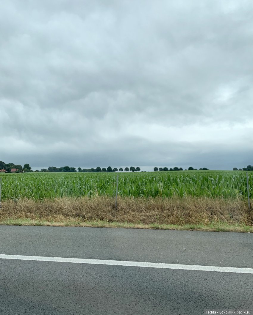 Платье - путешественник — Куклы Ptichka Art Doll (Ирина Кузина): BJD (фото 7)