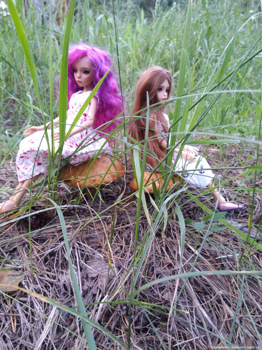Прогулки с куклами - земляника