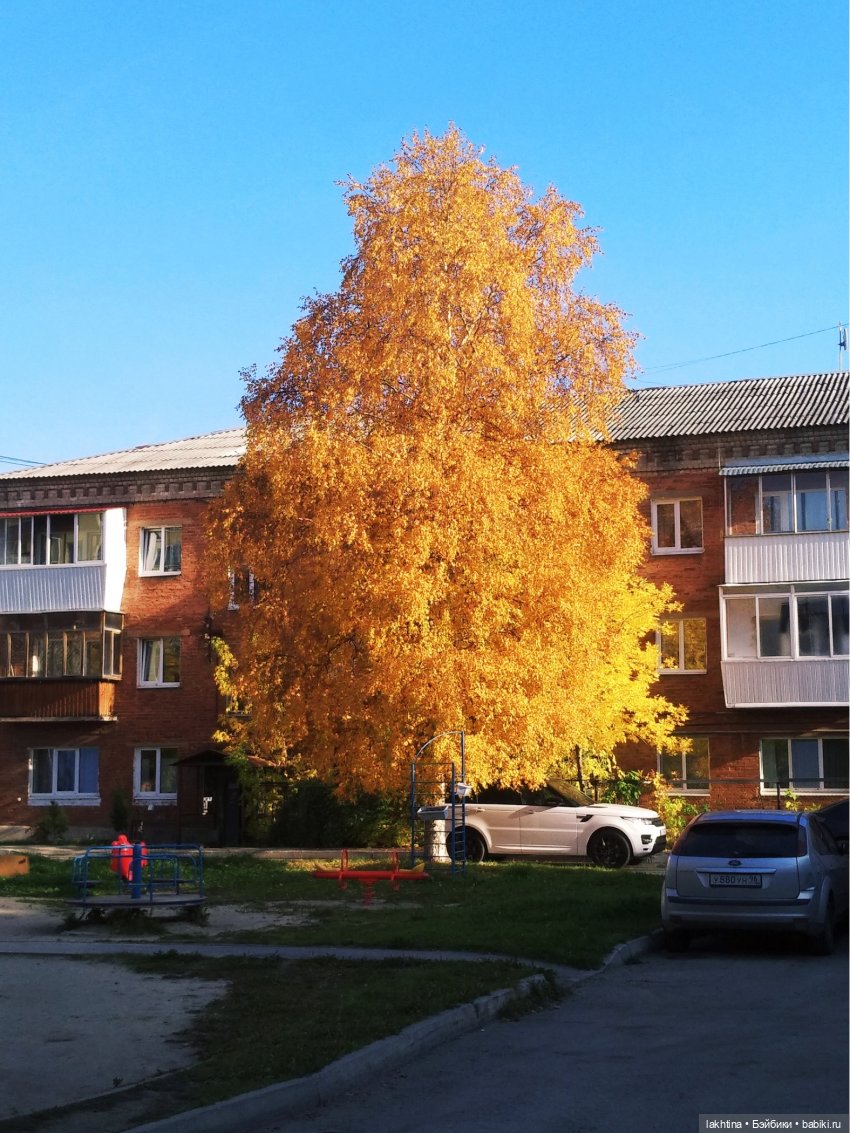 Куклы Lee Middleton - милые, нежные, наивные, забавные, смешные... Встречаем Хэллоуин вместе (фото 2)