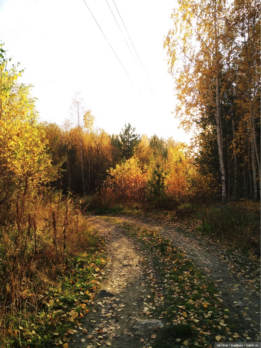 Куклы Lee Middleton - милые, нежные, наивные, забавные, смешные... Встречаем Хэллоуин вместе (фото 3)