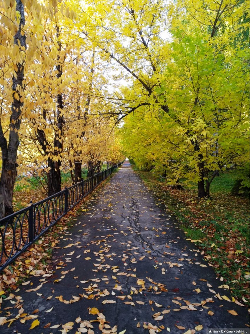 Куклы Lee Middleton - милые, нежные, наивные, забавные, смешные... Встречаем Хэллоуин вместе