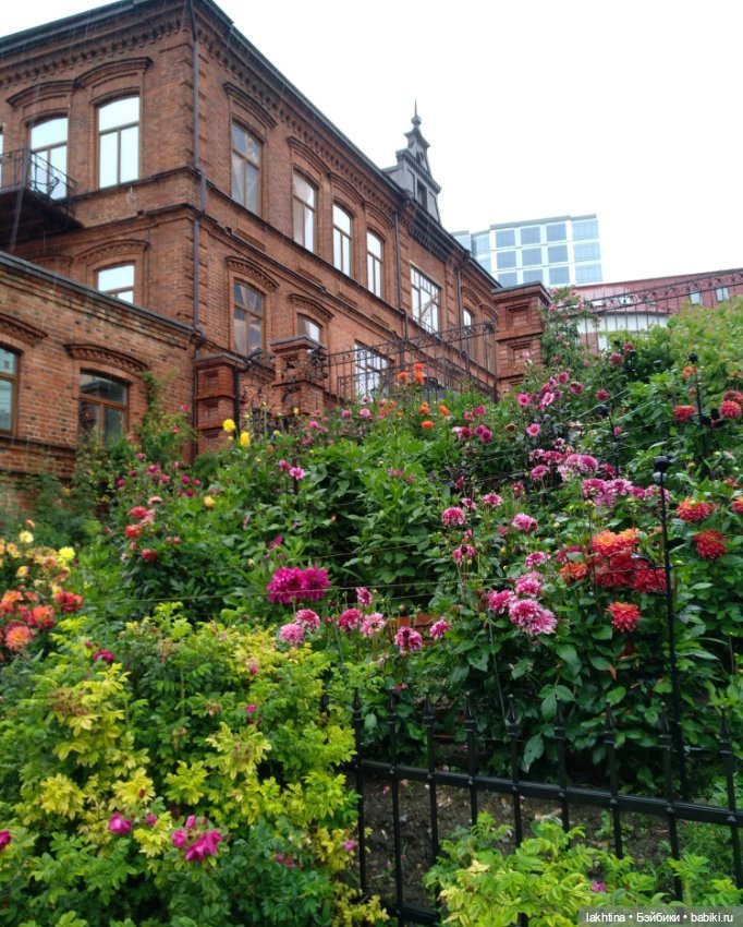 Эффи и Эвита - Осень и Весна (фото 6)