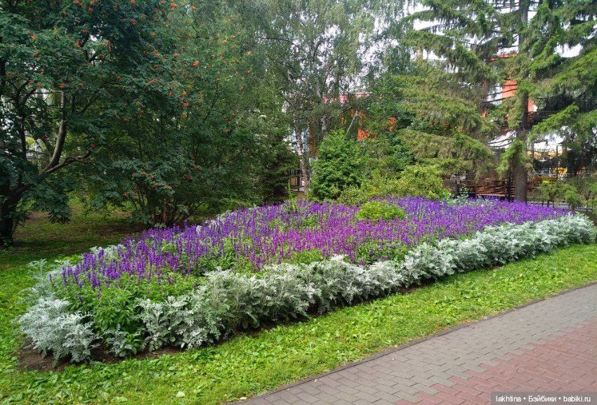 Эффи и Эвита - Осень и Весна (фото 3)