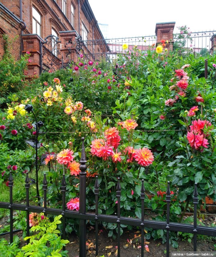 Эффи и Эвита - Осень и Весна (фото 7)