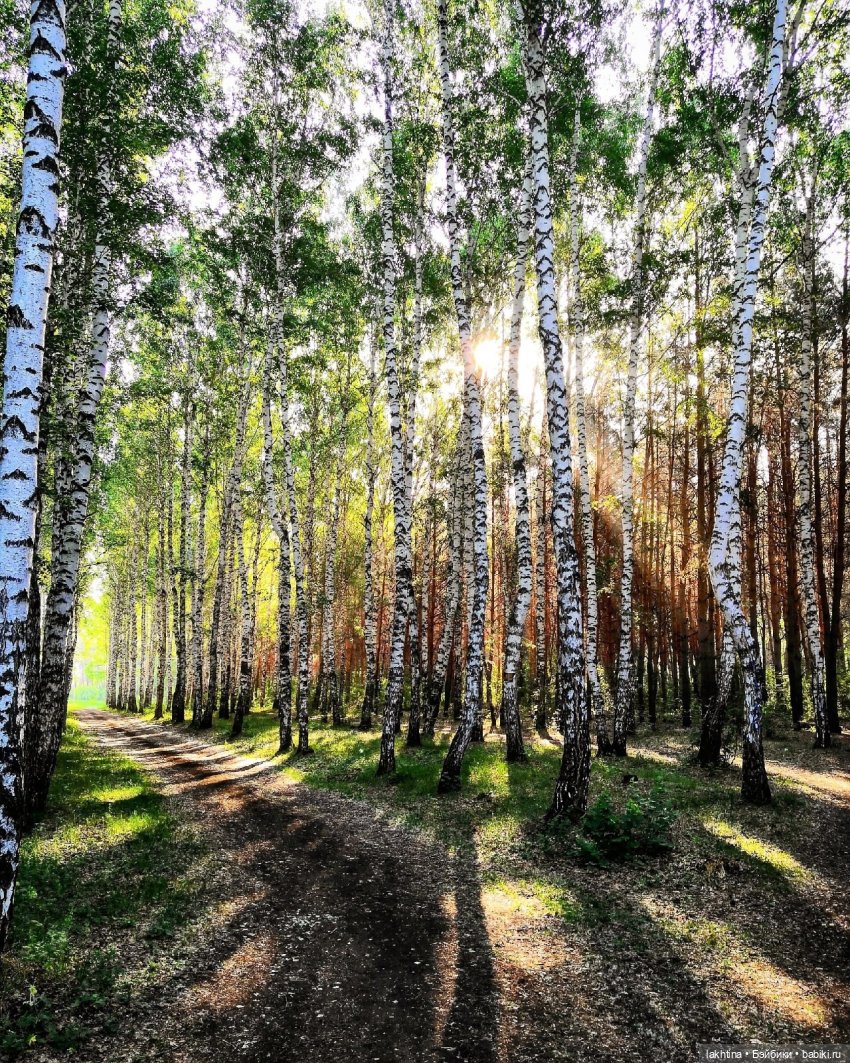 Ангелы из сундучка или Мухоморовна встречает любовь