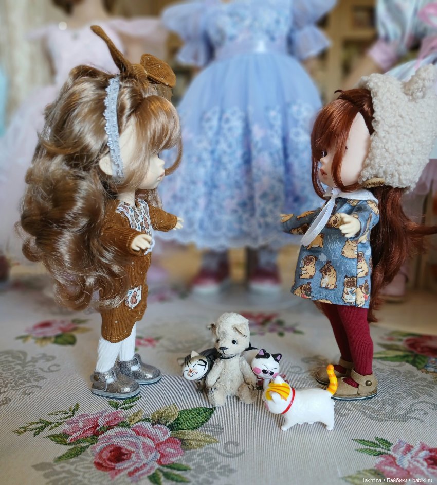 Откуда у нас столько котов (фото 6)