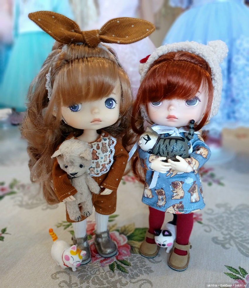 Откуда у нас столько котов (фото 7)