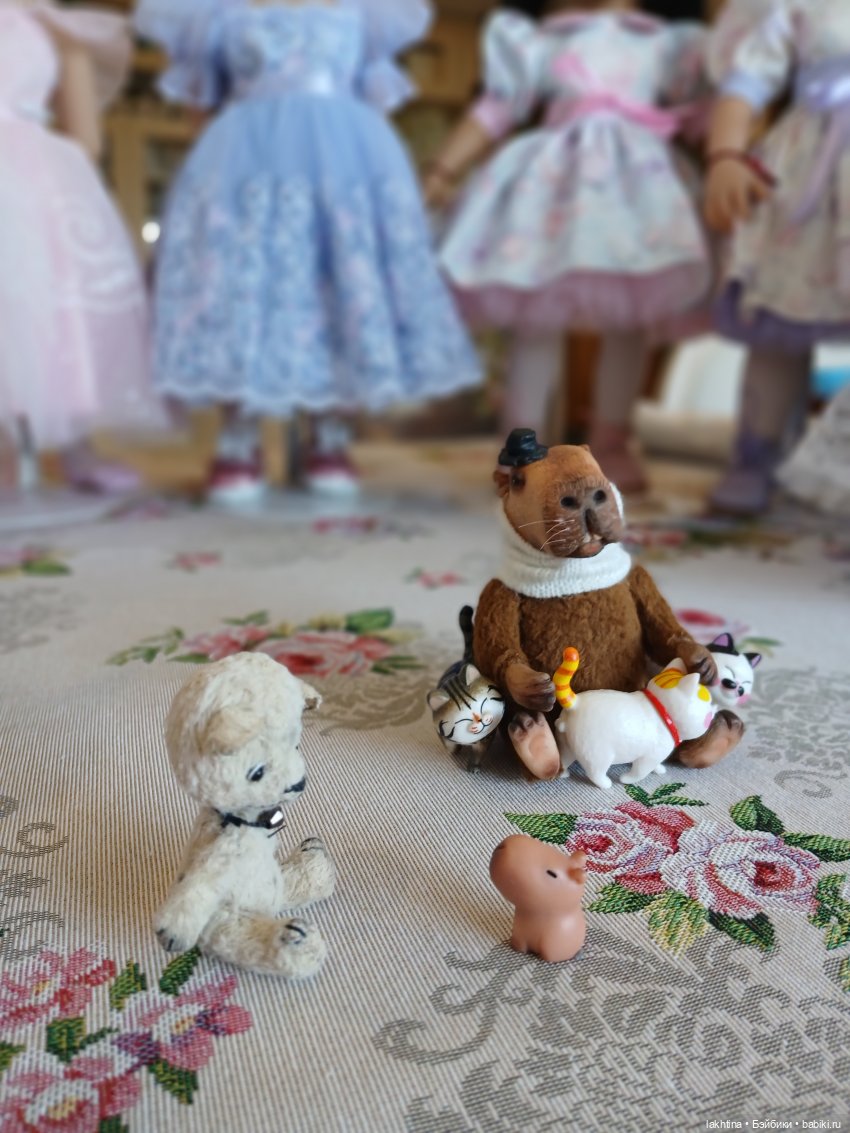 Откуда у нас столько котов (фото 2)