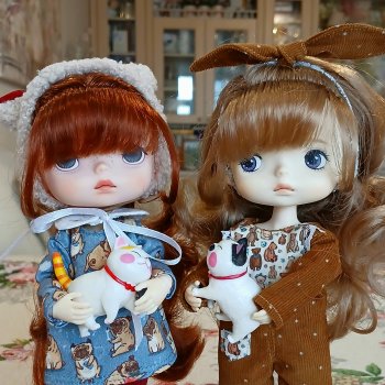 Откуда у нас столько котов?