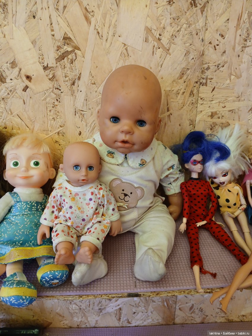 Кто пойдёт со мной в поход? Часть вторая