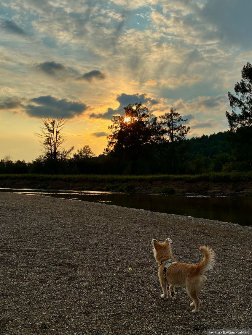 Кто пойдёт со мной в поход? Часть вторая
