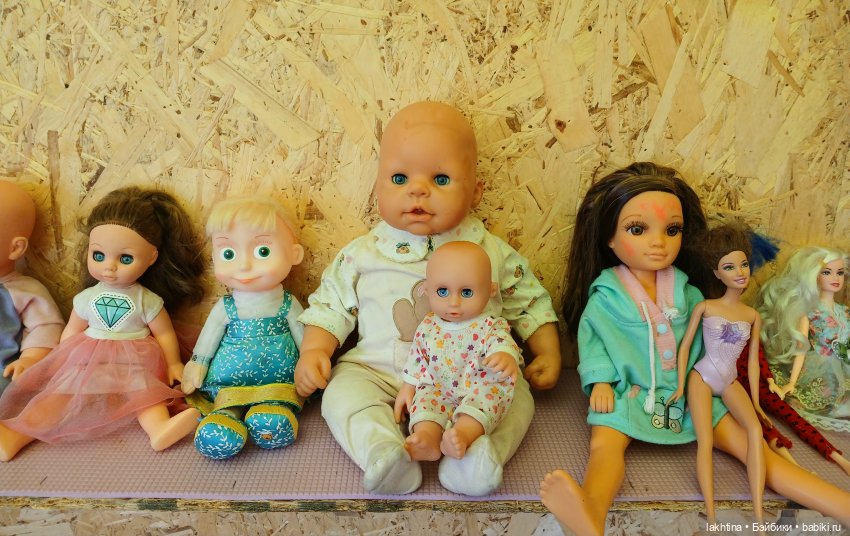 Кто пойдёт со мной в поход? Часть вторая