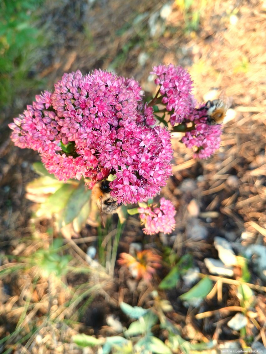 Кто пойдёт со мной в поход? Часть первая