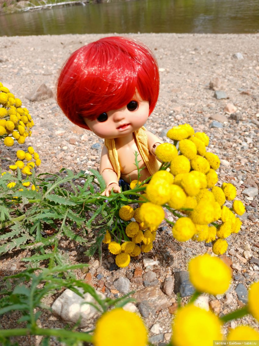 Кто пойдёт со мной в поход? Часть первая