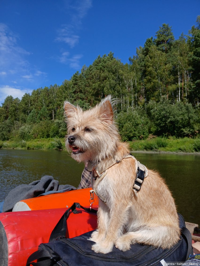 Кто пойдёт со мной в поход? Часть первая