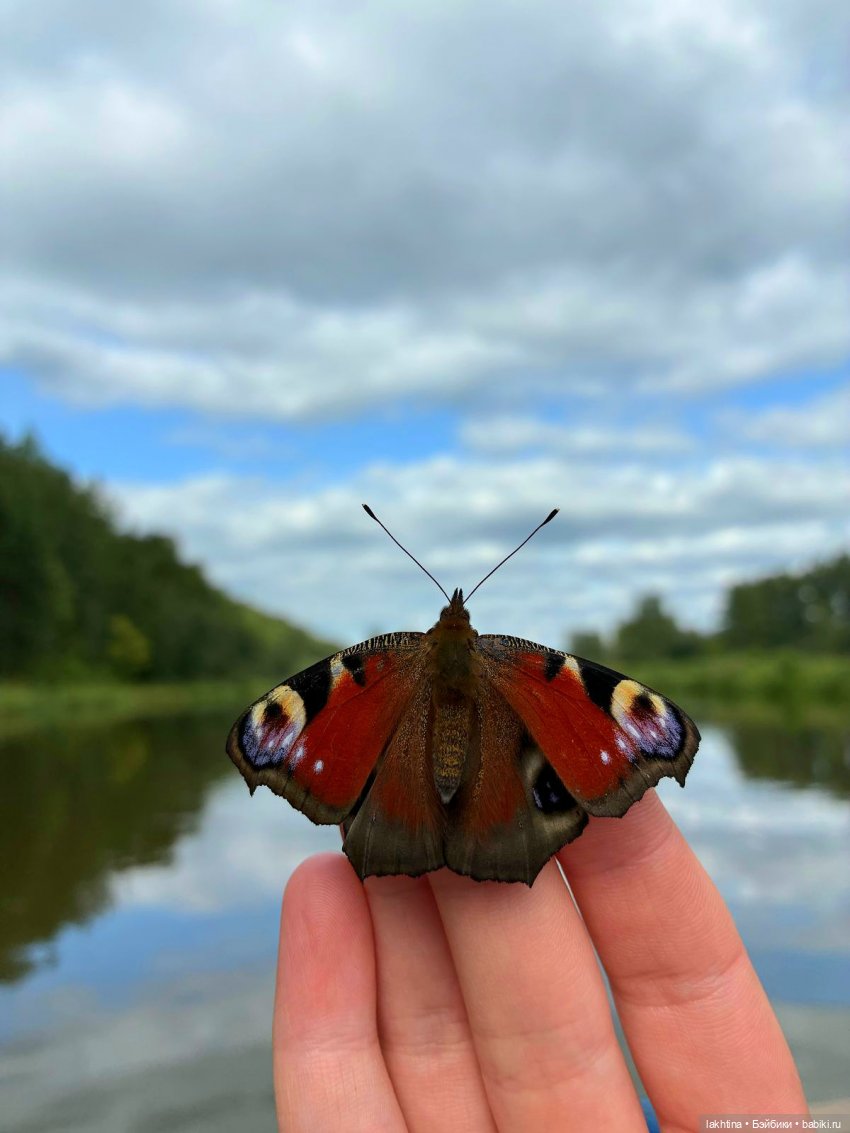Кто пойдёт со мной в поход? Часть первая