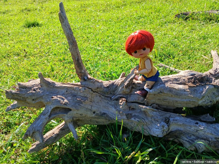 Кто пойдёт со мной в поход? Часть вторая (фото 6)