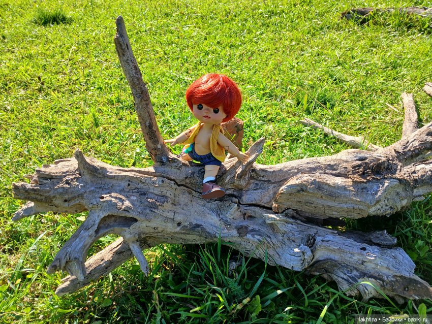 Кто пойдёт со мной в поход? Часть вторая (фото 7)