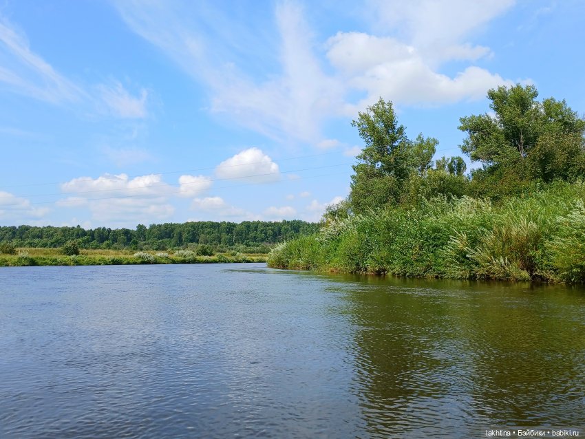 Кто пойдёт со мной в поход? Часть первая