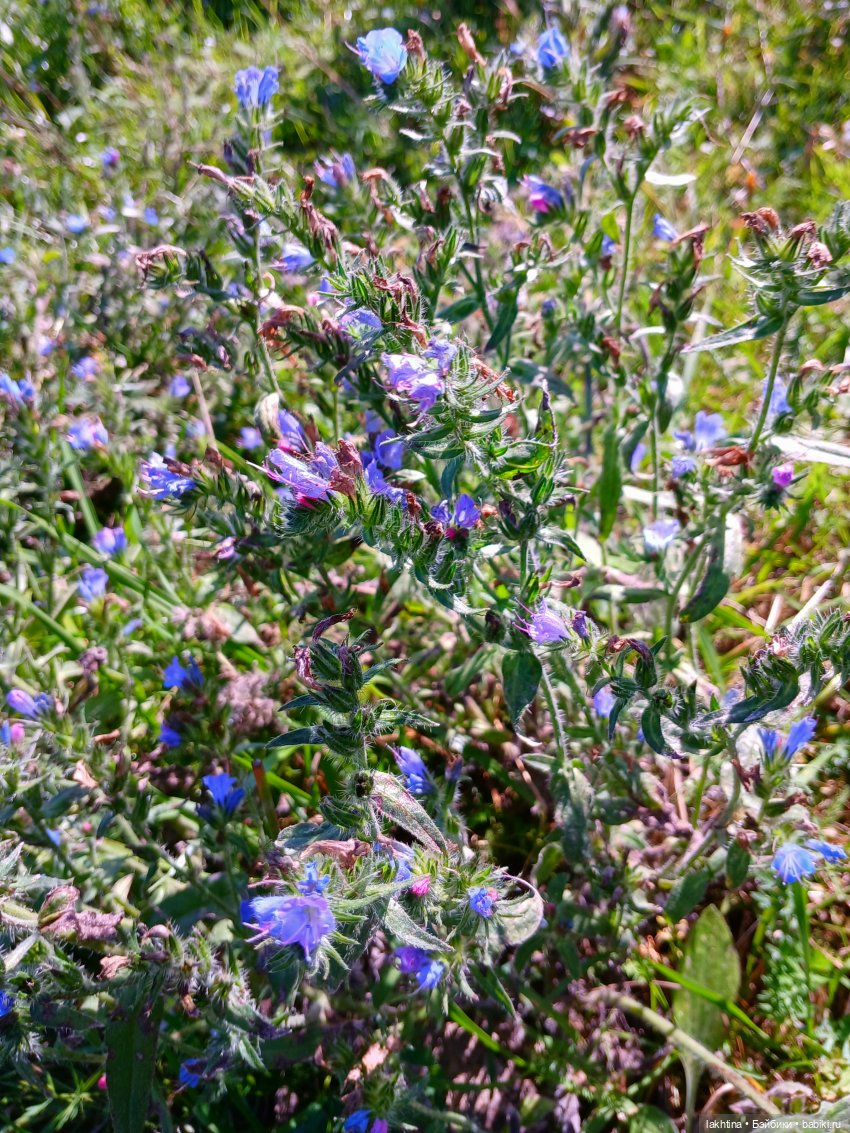 Кто пойдёт со мной в поход? Часть вторая (фото 9)