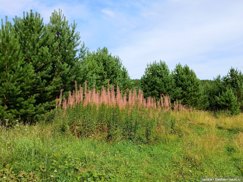 Кто пойдёт со мной в поход? Часть третья (фото 5)