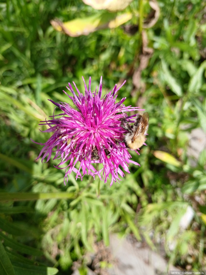 Кто пойдёт со мной в поход? Часть третья