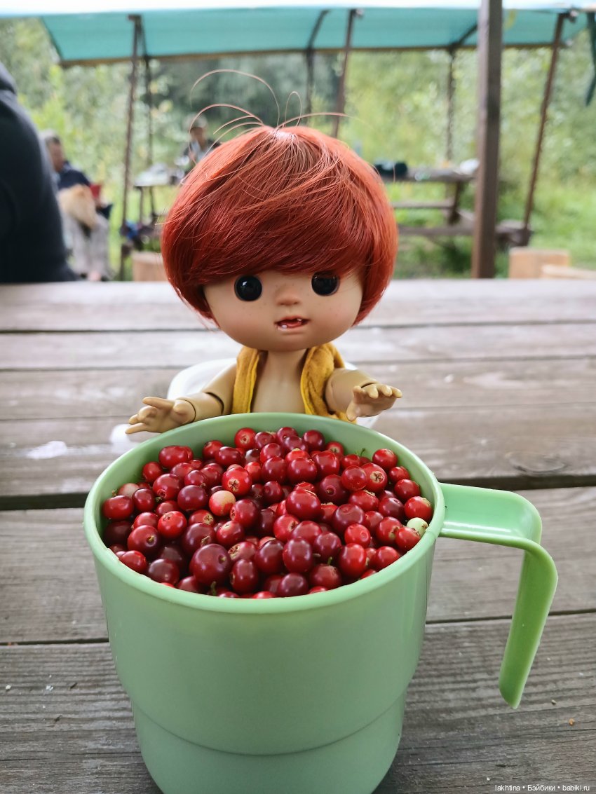 Кто пойдёт со мной в поход? Часть третья