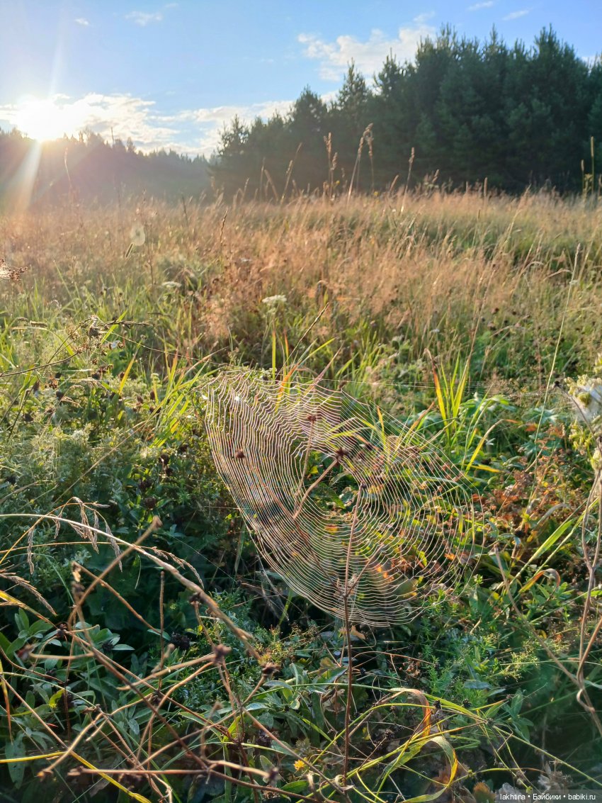 Кто пойдёт со мной в поход? Часть третья