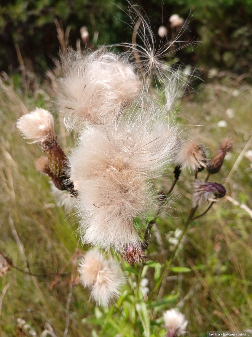 Кто пойдёт со мной в поход? Часть третья (фото 2)
