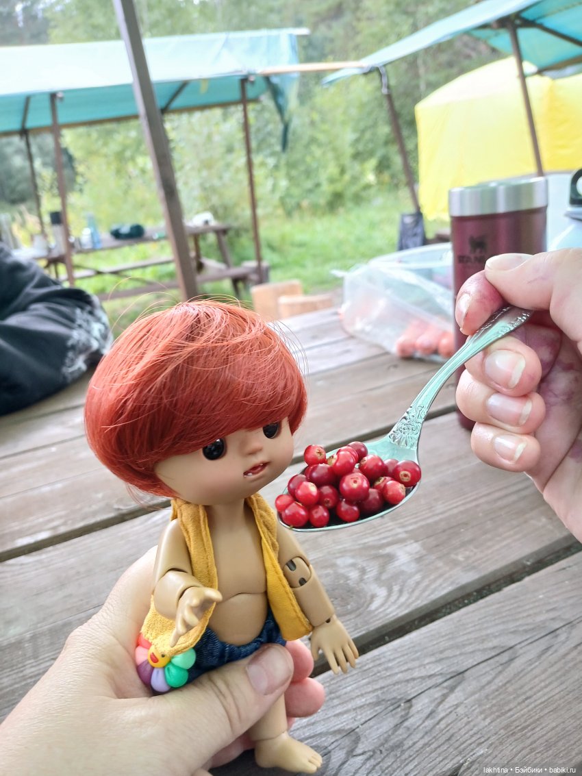 Кто пойдёт со мной в поход? Часть третья