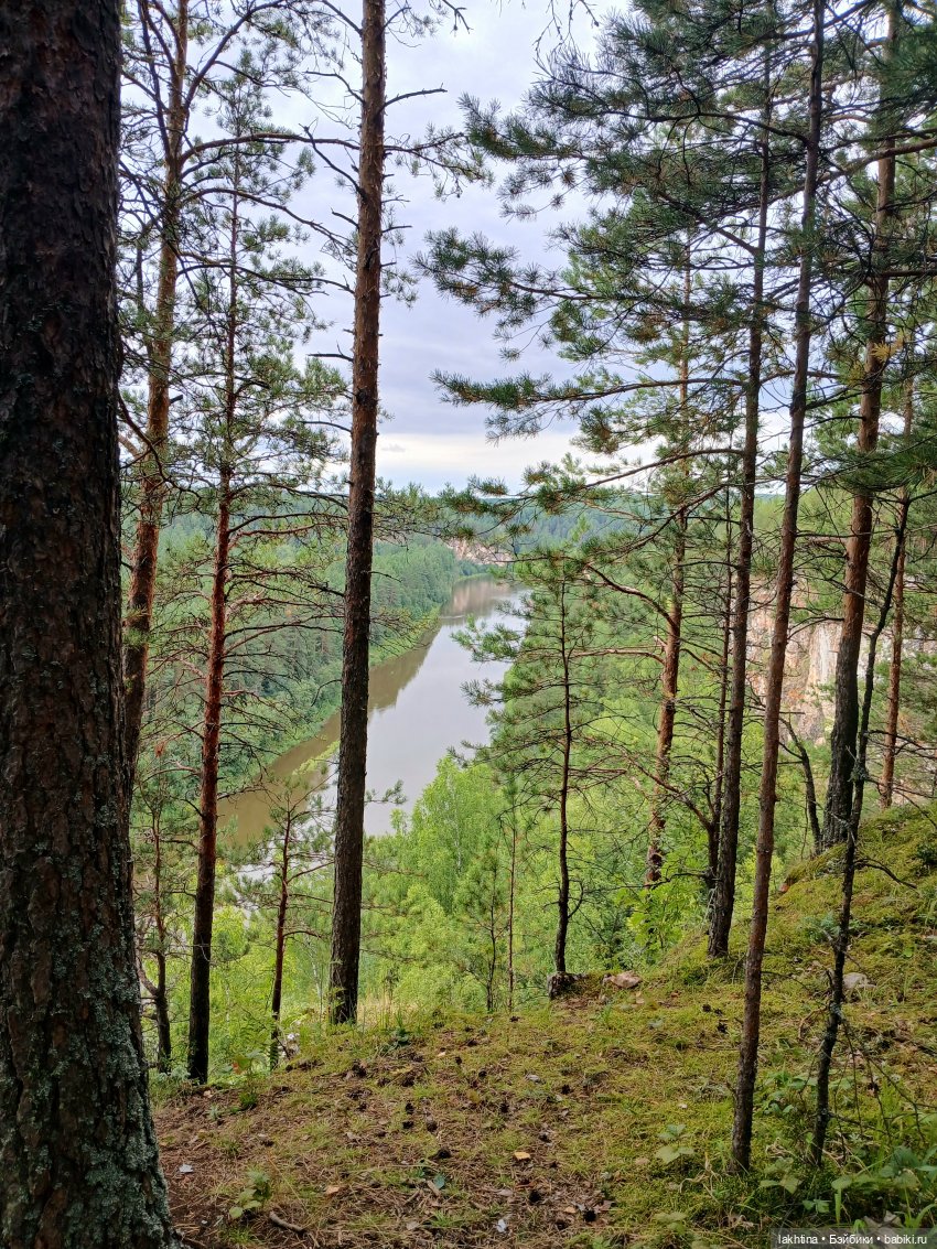 Кто пойдёт со мной в поход? Часть третья