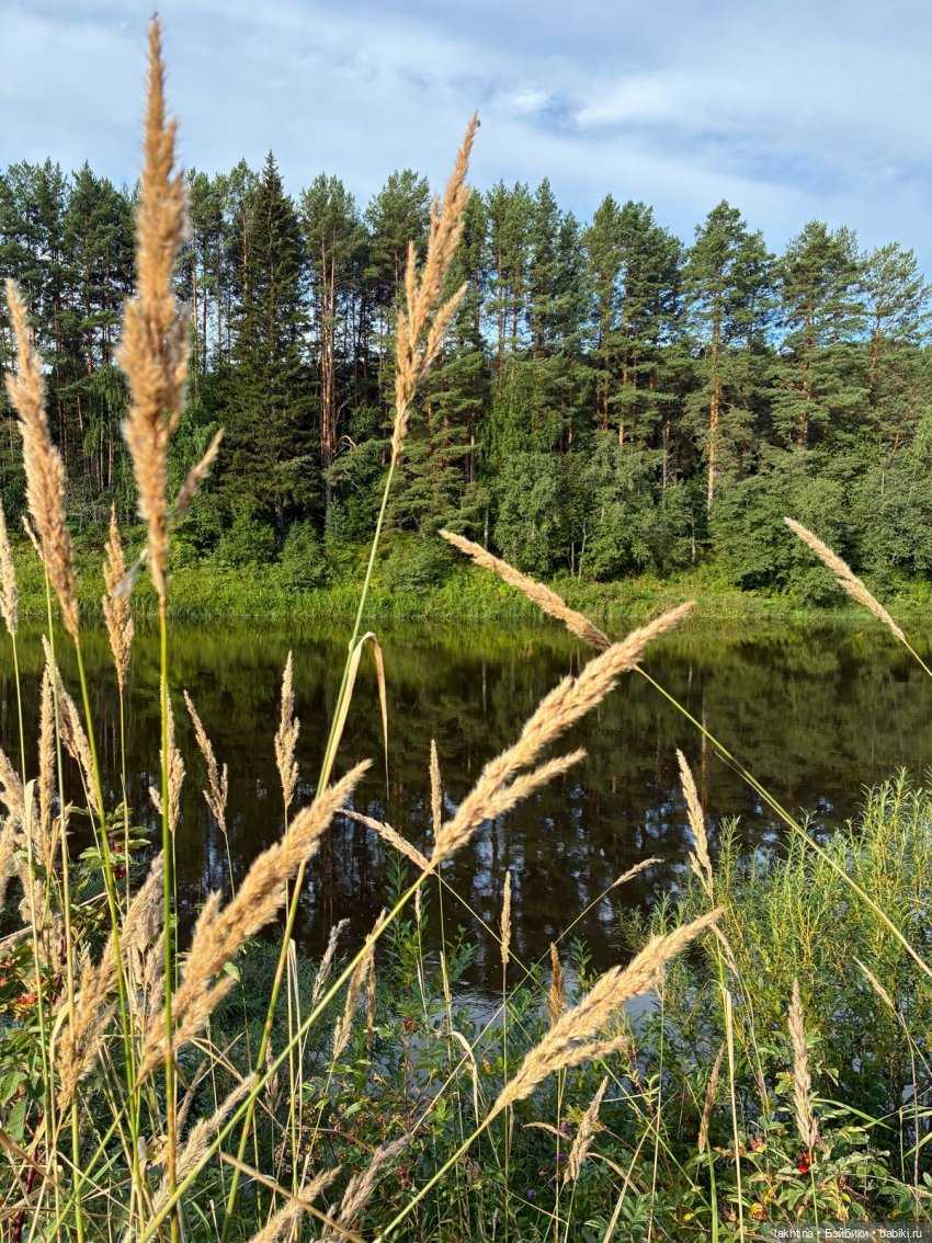 Кто пойдёт со мной в поход? Часть третья