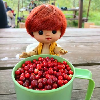 Кто пойдёт со мной в поход?  Часть  третья