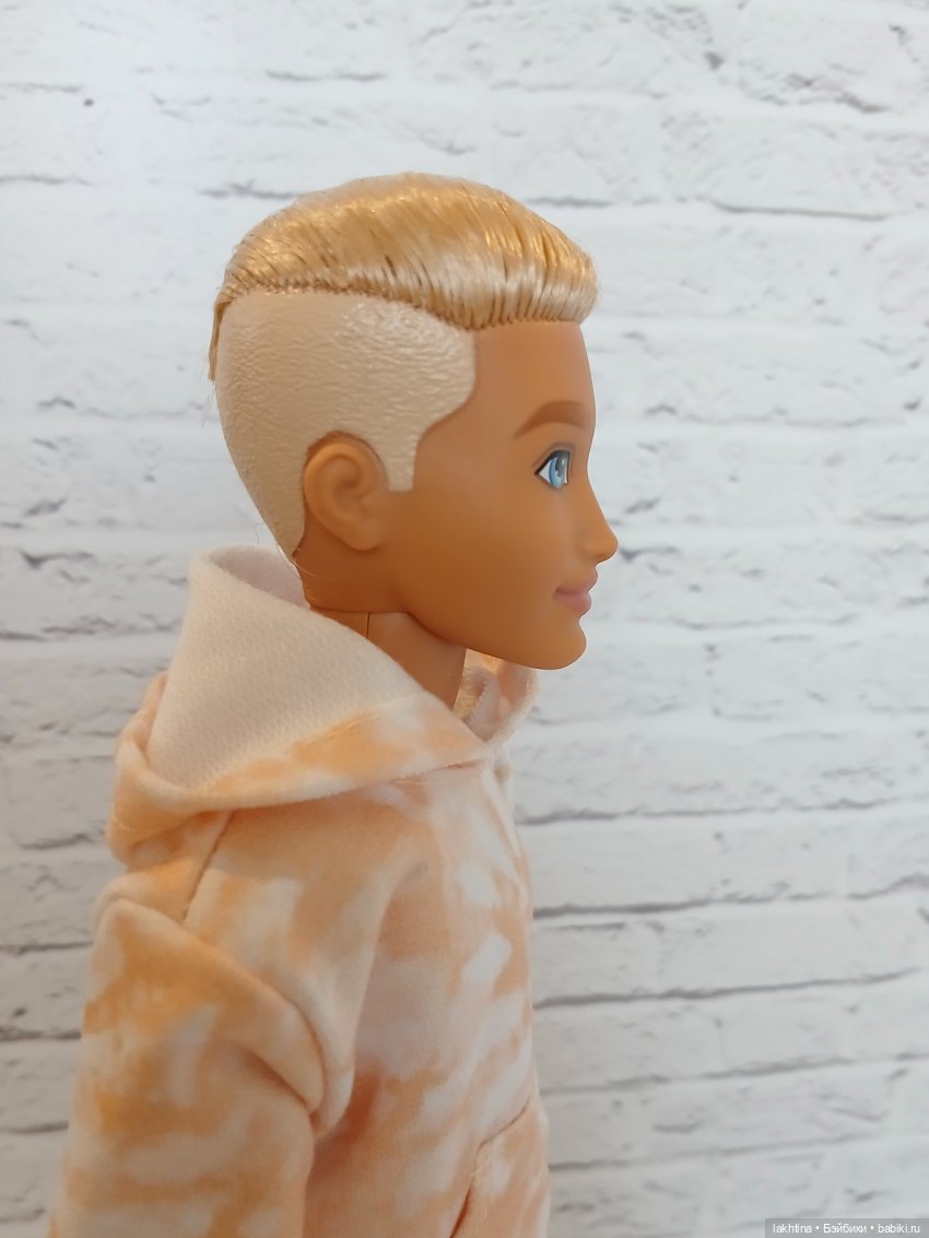 Кен из компании Barbie dream besties и две Рене