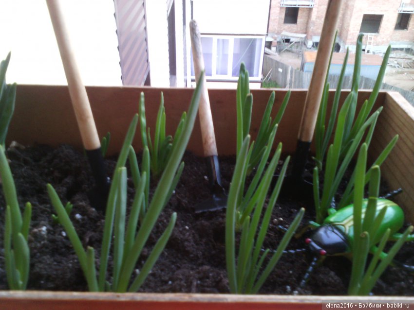 Лето в деревне — Куклы Маша и Медведь (Simba): Маша в кармашке (фото 7)