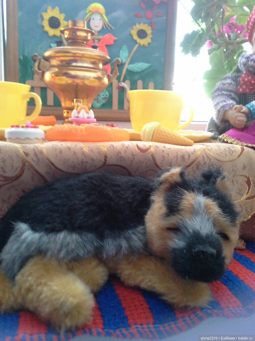 В гости к бабушке и дедушке