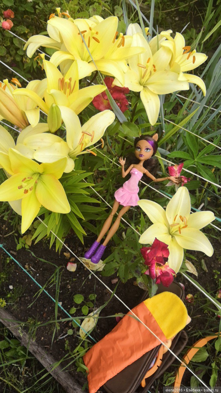 Монстрик на даче — Куклы Monster High и Ever After High: G1 (фото 2)