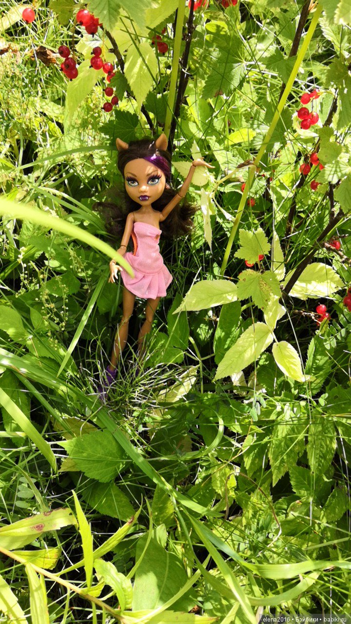 Монстрик на даче — Куклы Monster High и Ever After High: G1 (фото 8)