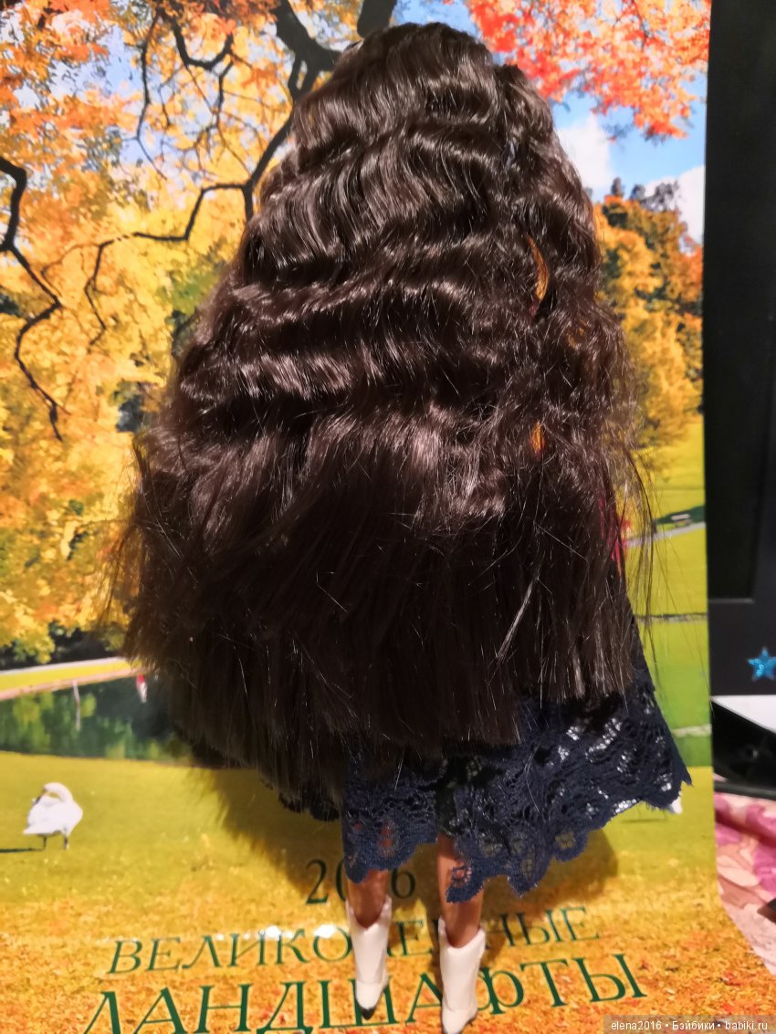 Перуанка — Куклы Barbie (Барби): Looks (фото 3)