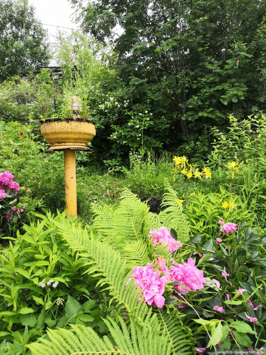 Рапуша на даче | Бэйбики Рапуша на даче — Интересные игрушки и фигурки (разное): редкие (фото 9)