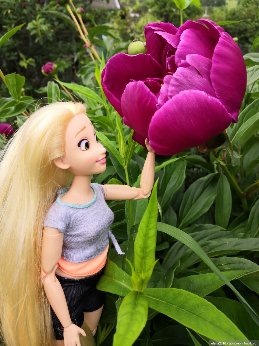 Рапуша на даче | Бэйбики Рапуша на даче — Интересные игрушки и фигурки (разное): редкие (фото 4)