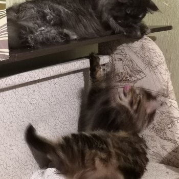 Сама нежность.