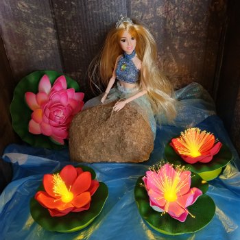 Русалочье солнце.