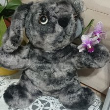 Авторская собачка