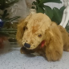 Собака старинная,Германия