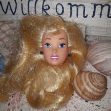 Голова ,Золушка