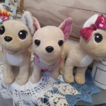 Собачки Чи чи лав