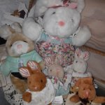 Компания заек в рюкзаке