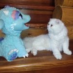 Интерактивный дракончик