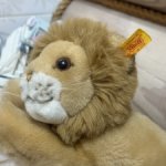 Львенок Steiff